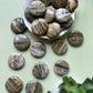 Bumblebee Jasper Flat - MEDIUM