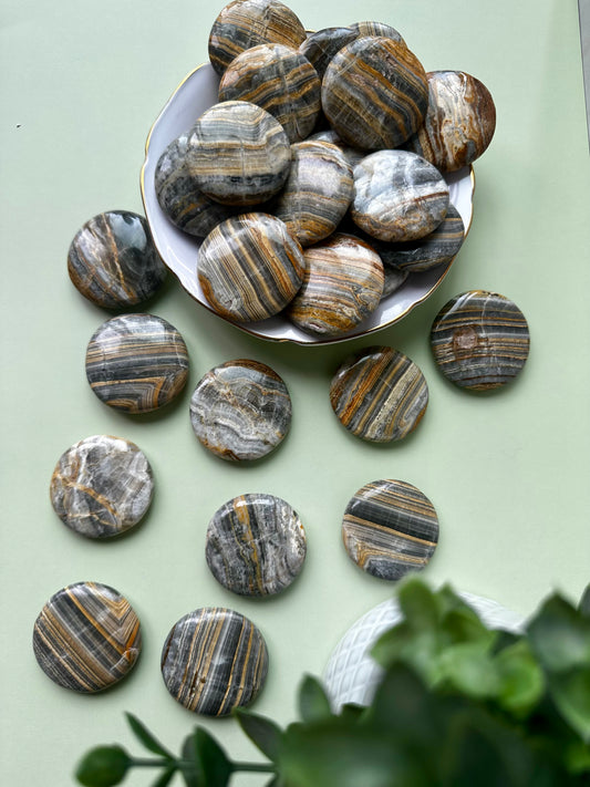 Bumblebee Jasper Flat - MEDIUM