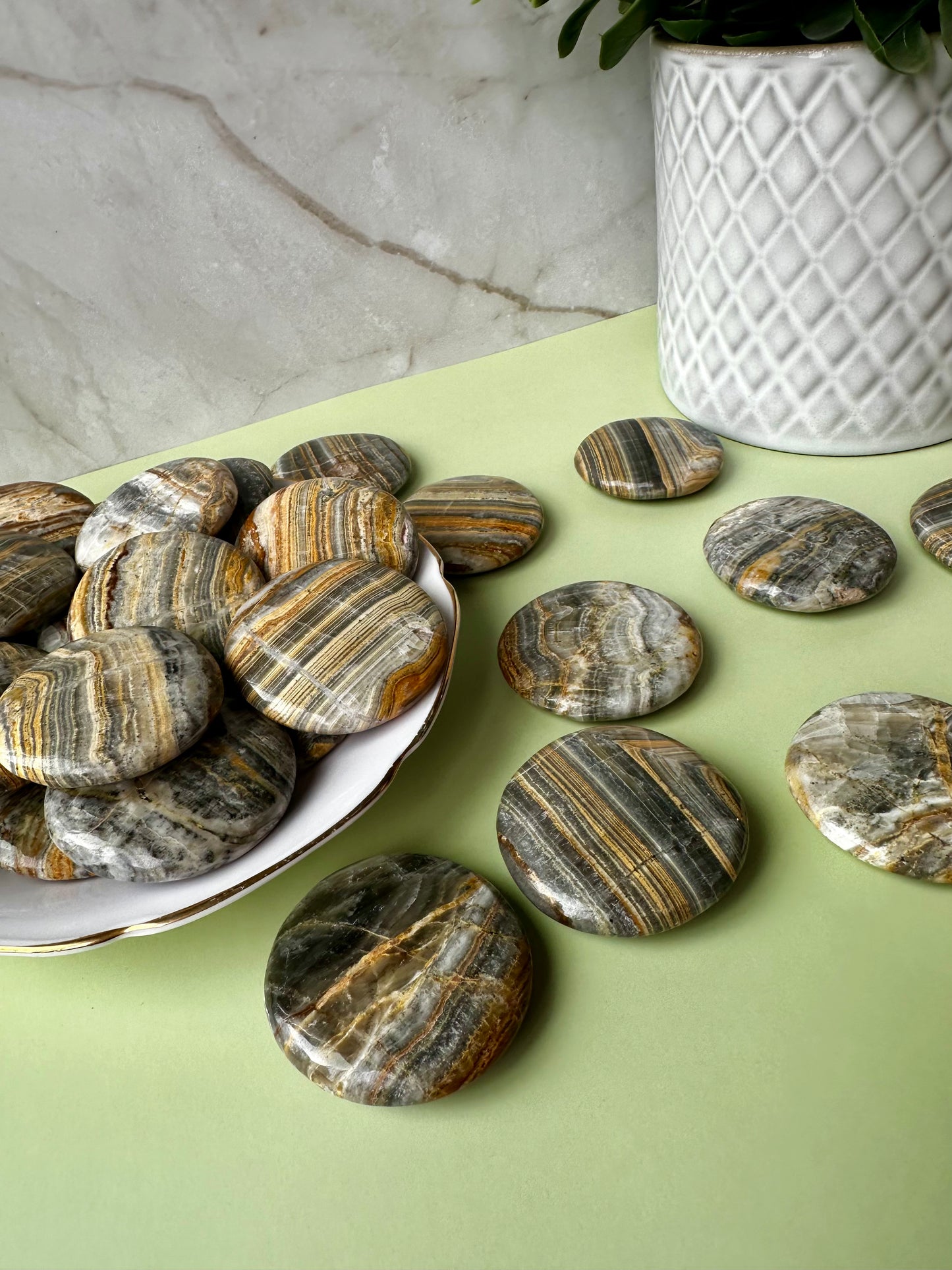 Bumblebee Jasper Flat - MEDIUM