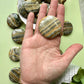 Bumblebee Jasper Flat - MEDIUM
