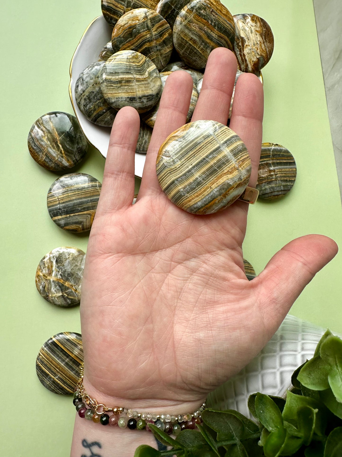 Bumblebee Jasper Flat - MEDIUM
