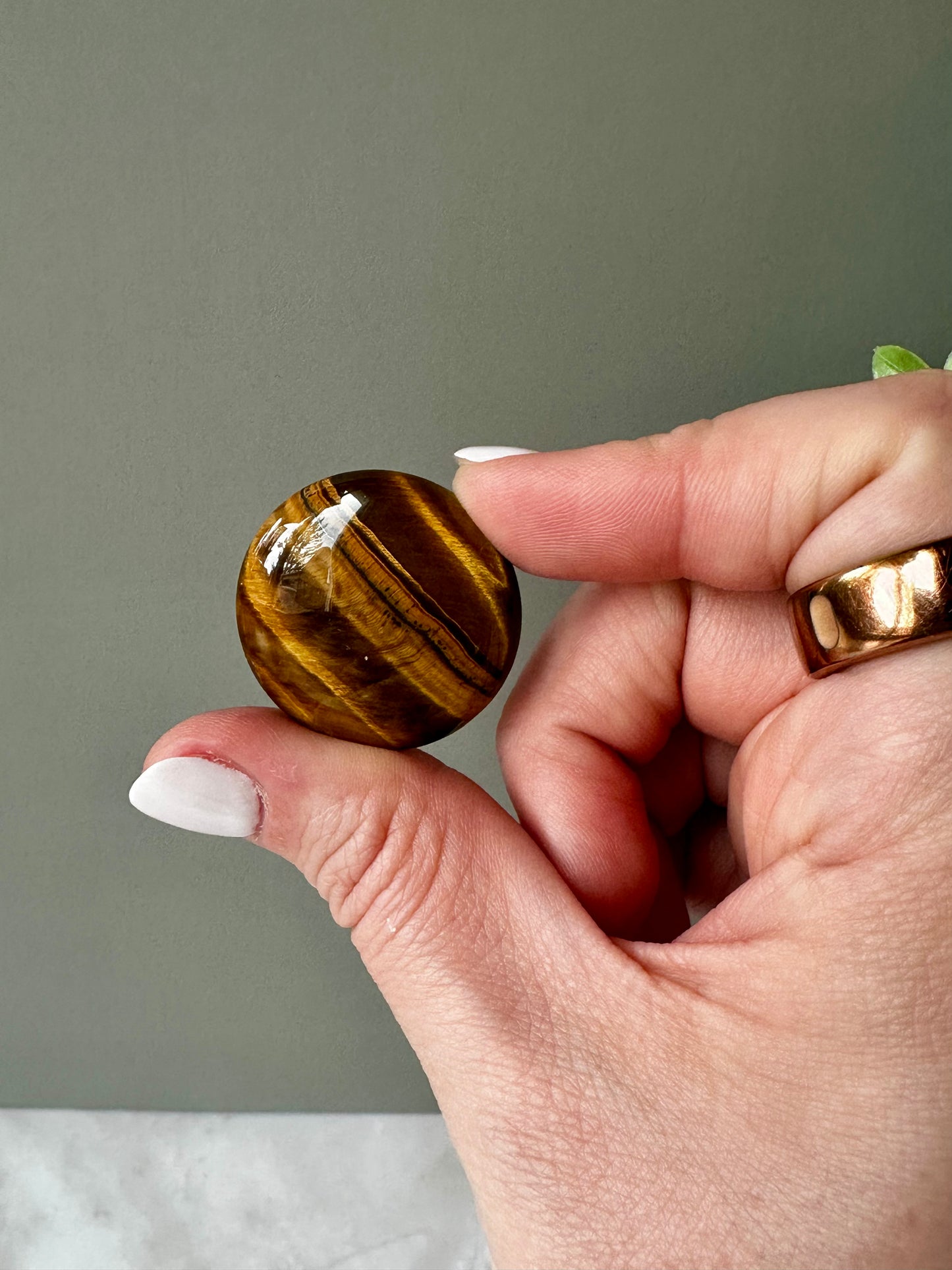 Tiger Eye Flat Stone - Mini