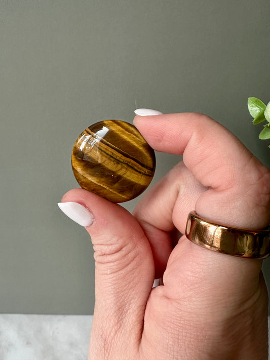 Tiger Eye Flat Stone - Mini